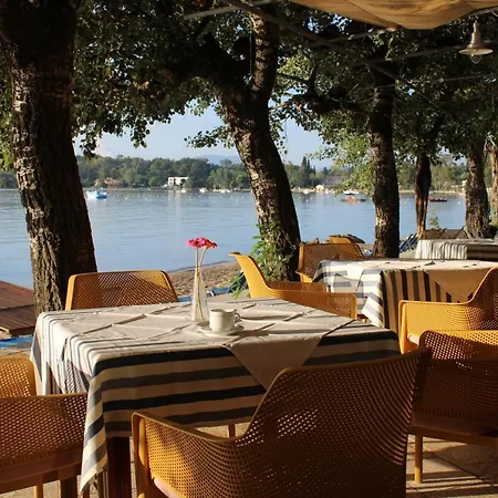 Dassia Beach Hotel فندق