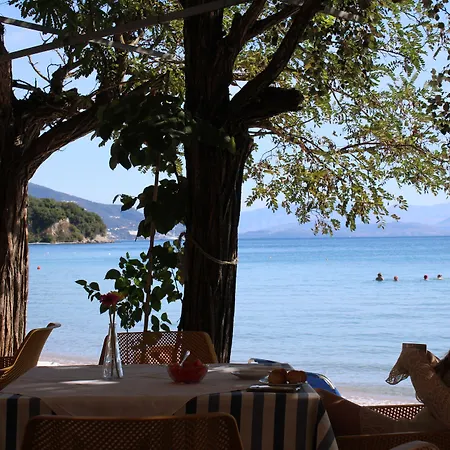 Dassia Beach Hotel 호텔