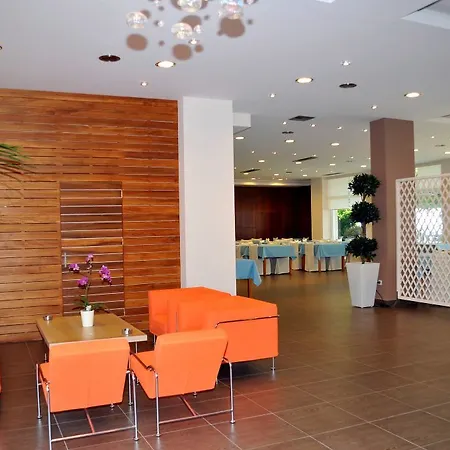 Dassia Beach Hotel فندق