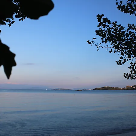 Hotell Dassia Beach Hotel 2*