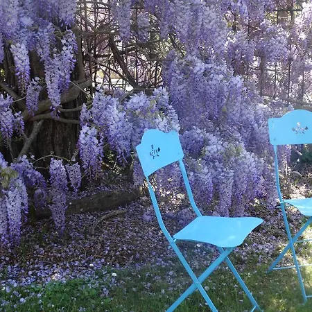 Dassia Beach Hotel 2* Dassia (Corfu)