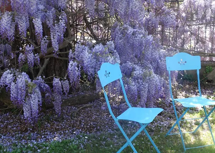 Dassia Beach Hotel 2* Dassia (Corfu)